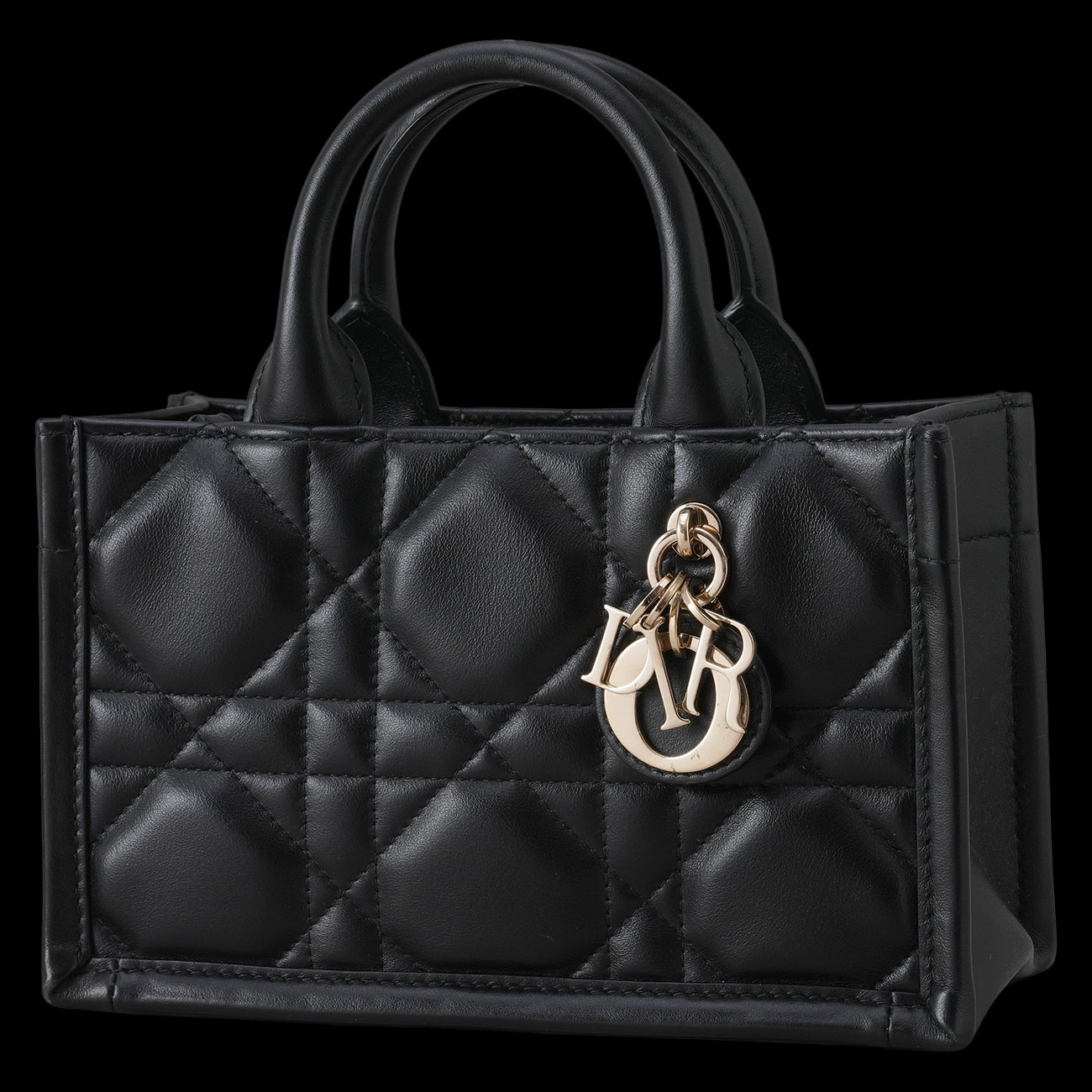 CHRISTIAN DIOR(USED)디올 레더 북토트 미니